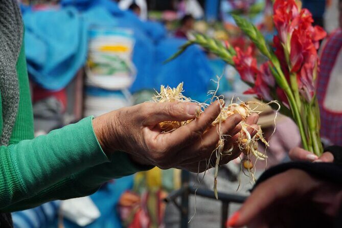 Food and Culture Full day Tour in the Sacred Valley - Key things to know before you go