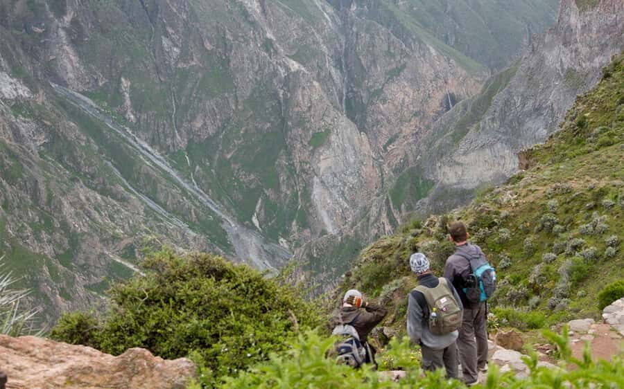 From Arequipa: 2-Day Colca Canyon Trekking Tour - Key highlights worth planning for