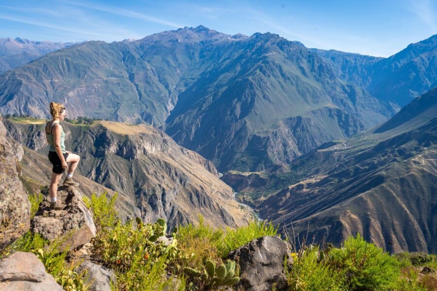 From Arequipa: 2-Day Colca Canyon Trekking Tour - Day two from Sangalle to Cabanaconde: the steep climb that makes or breaks your day