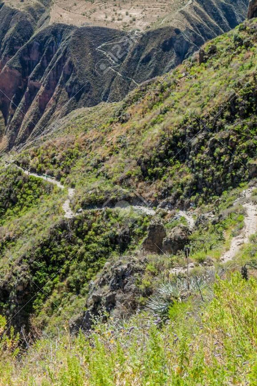 From Arequipa: 2-Day Colca Canyon Trekking Tour - Who this tour fits best, and who should skip it