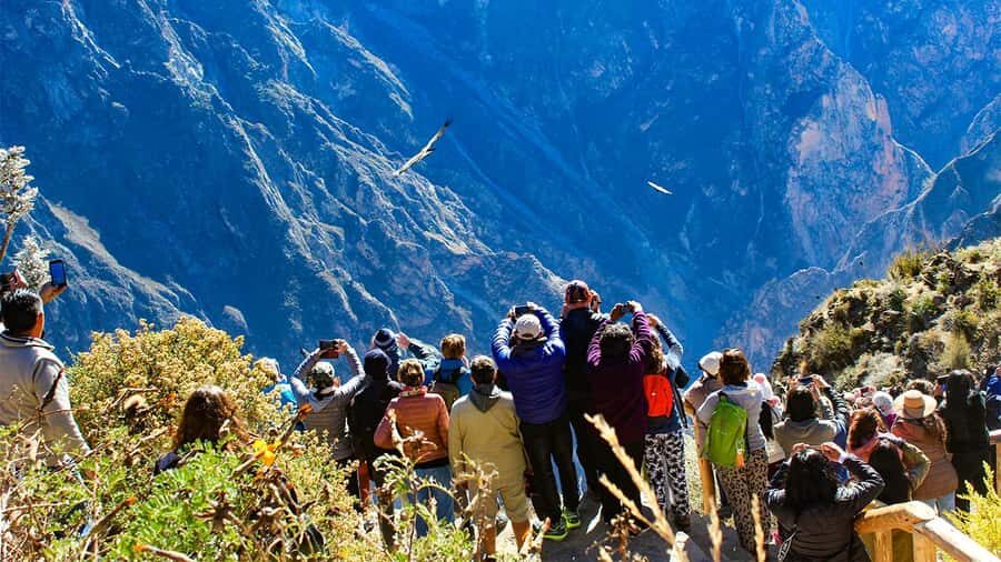 From Arequipa: Colca Canyon Day Trip with Transfer to Puno - Key things I’d bank on before you go