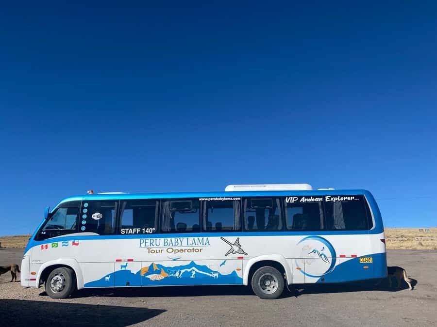 From Arequipa: Colca Canyon Day Trip with Transfer to Puno - The drive into Puno: arriving tired but informed