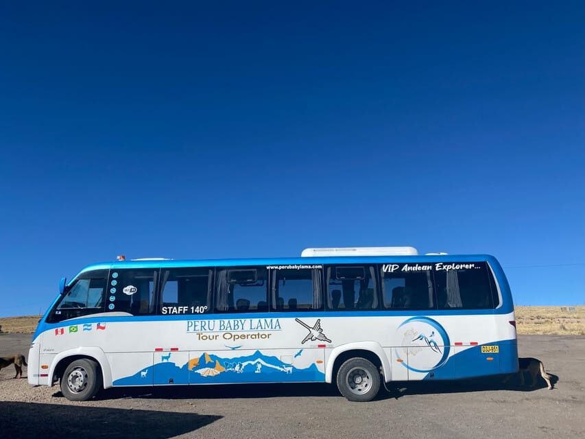 From Arequipa: Colca Canyon Day Trip with Transfer to Puno - Price and value: what $65 covers, and what to budget