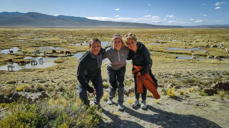 From Arequipa: Colca Canyon Full-Day Guided Tour with Meals - Antawilke Terraces and the Road Stops That Actually Matter