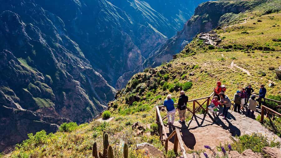 From Arequipa: Full Day Tour of Colca Canyon with Meals - Key Points to Know Before You Go