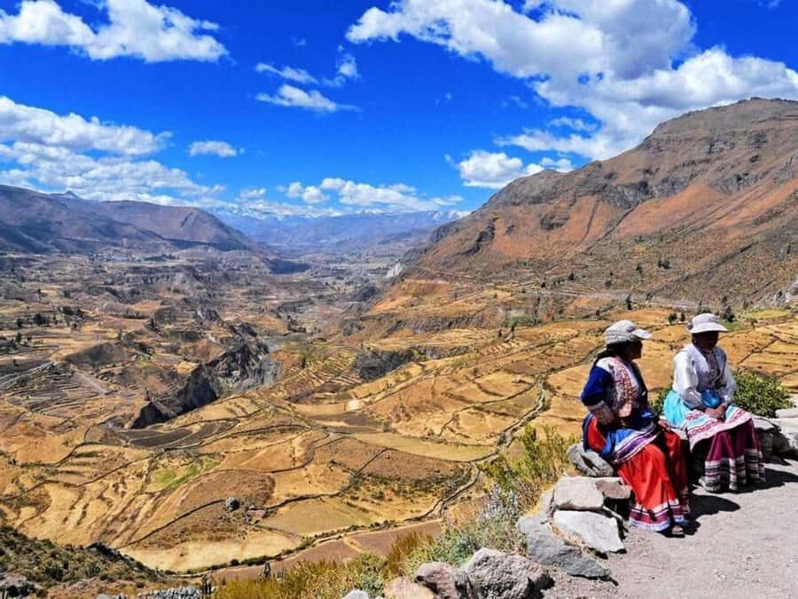 From Arequipa: Full Day Tour of Colca Canyon with Meals - Late-day altitude highlights: 4,910 m viewpoints, wetlands, alpacas, and vicuñas