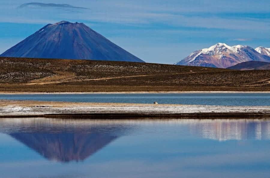 From Arequipa: Salinas Lagoon Full-Day Trip with Hot Springs - Why the Salinas Lagoon and Lojen Hot Springs Pair so Well from Arequipa