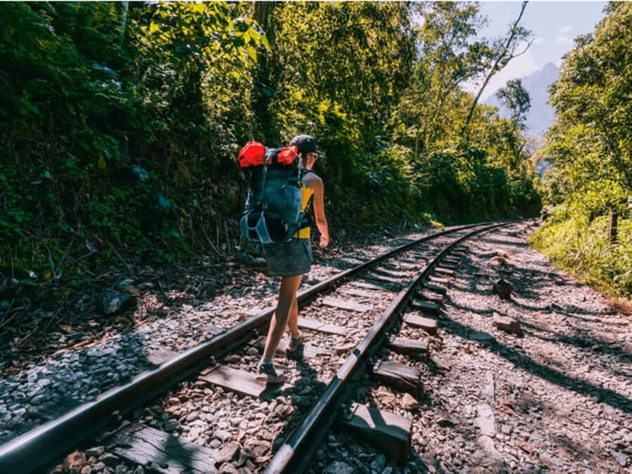 From Cusco: 2-Day Inca Trail to Machu Picchu - Inside Machu Picchu: guided Circuit 2, then your own time