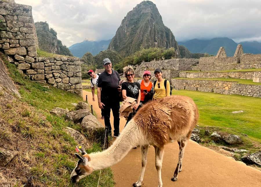 From Cusco: Full-Day Group Tour of Machu Picchu - Price and Value: Why $321 Can Feel High (and Still Make Sense)