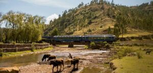 From Cusco: Machu Picchu Full-Day Guided Tour - Entering Machu Picchu With a Guide: What You’ll Actually Learn