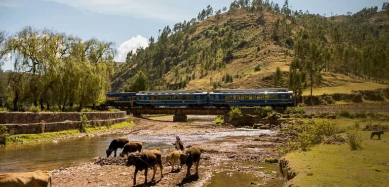 From Cusco: Machu Picchu Full-Day Guided Tour - Entering Machu Picchu With a Guide: What You’ll Actually Learn
