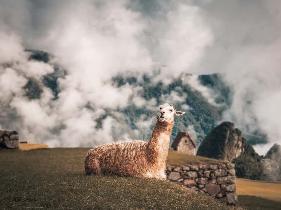 From Cusco: Sacred Valley & Machu Picchu 2-Day Tour by Train - Packing and logistics: the stuff that affects your comfort