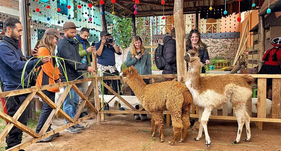 From Cusco: Sacred Valley & Maras Salt Mines Tour with Lunch - Why this Sacred Valley day feels efficient (even when it is long)