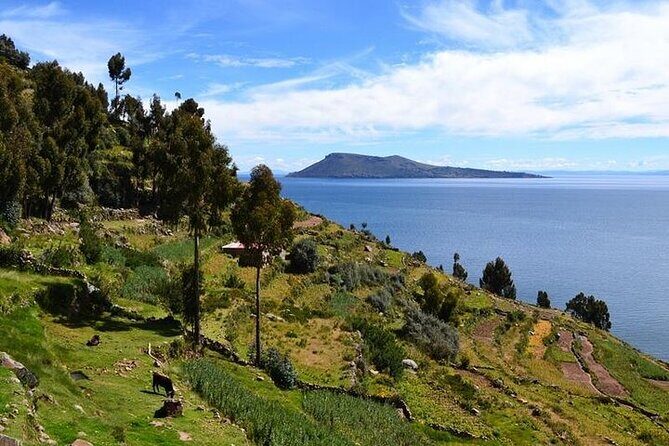 From Cusco to Lake Titicaca: 2-Day Homestay Tour - Day 2 morning: Uros Floating Islands with a guided reed-island visit