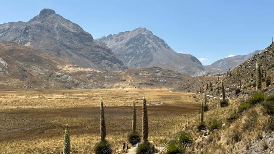 From Huaraz: Tour to the Pastoruri Glacier and Puya Raimondi - What to bring (and what to plan for) for glacier-day comfort