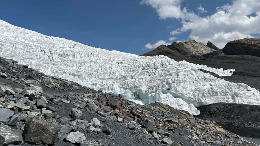 From Huaraz: Tour to the Pastoruri Glacier and Puya Raimondi - Puma Pampa and Puya Raimondi: weird in a good way
