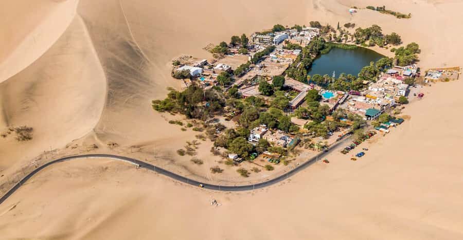 From Lima: Ballestas Islands, Huacachina, and Vineyard Tour - Ballestas Islands Cruise: Sea Lions, Birds, and the Penguin Bonus
