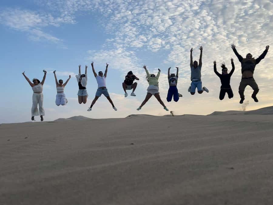 From Lima: Day trip to Paracas, Ica and Oasis Huacachina - Ballestas Islands cruise: penguins, sea lions, and El Candelabro