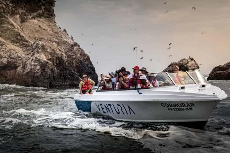 From Lima: Day trip to Paracas, Ica and Oasis Huacachina - Should you book this Lima to Paracas, Ica and Huacachina day trip?