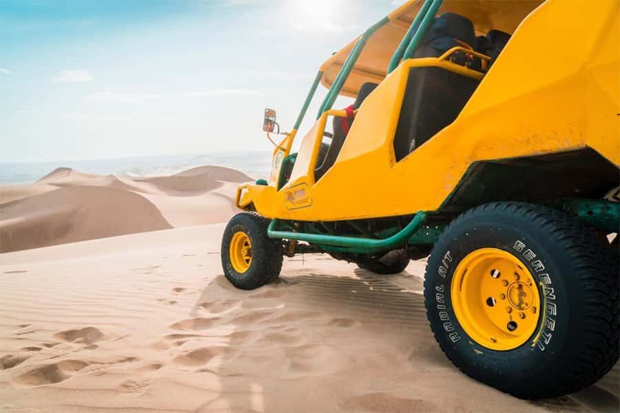 From Lima: Paracas and Huacachina Oasis Full Day Guided Tour - Ballestas Islands Boat Tour: Where Wildlife Shows Up (If You’re in the Right Spots)
