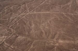 From Nazca: 35-Minute Flight Over Nazca Lines - Before you board: cash-only fees and the weight-check reality