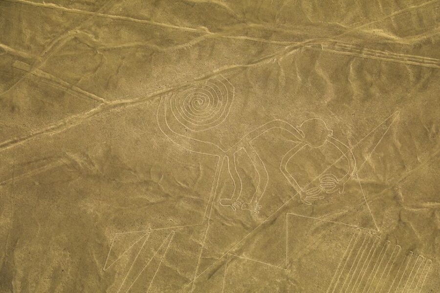 From Nazca: 35-Minute Flight Over Nazca Lines - Getting back to your hotel: why waiting is common