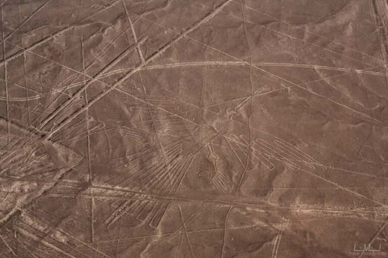 From Nazca: 35-Minute Flight Over Nazca Lines - Before you board: cash-only fees and the weight-check reality