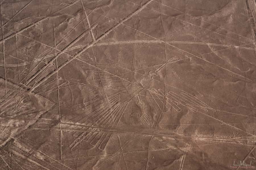 From Nazca: 35-Minute Flight Over Nazca Lines - Before you board: cash-only fees and the weight-check reality