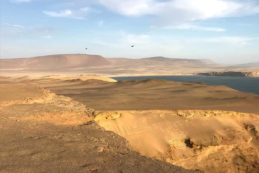 From Paracas: Ballestas Islands & Paracas National Reserve - Who This Tour Fits Best (and Who Should Rethink It)