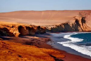 From Paracas: Ballestas Islands & Paracas National Reserve - Islas Ballestas: Sea Lions, Penguins, and the Wildlife-Watching Sweet Spot