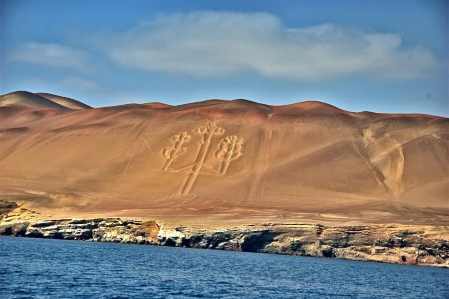 From Paracas: Ballestas Islands & Paracas National Reserve - Price and Value: Is $60 Worth It Here?