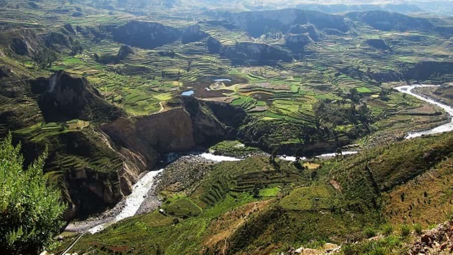 From Puno to Arequipa: 2 Days/1 Night Colca Canyon Tour - Key things to know before you go