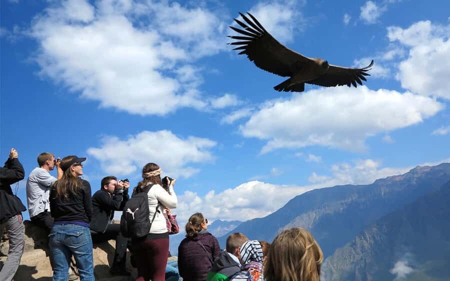 From Puno to Arequipa: 2 Days/1 Night Colca Canyon Tour - Getting Puno to Chivay right: the tour’s altitude logic