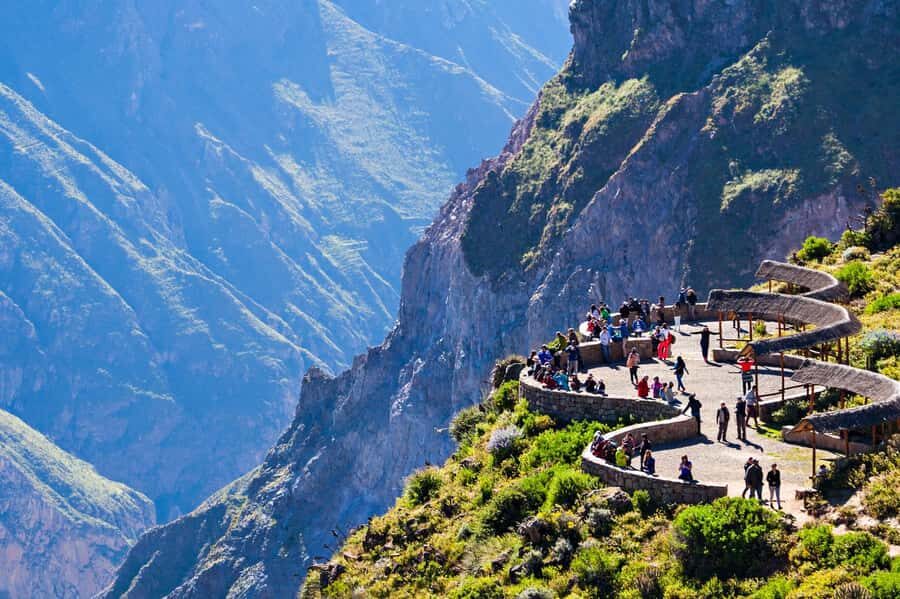 From Puno to Arequipa: 2 Days/1 Night Colca Canyon Tour - Pampa Cañahuas and vicuñas: where the spotting feels real