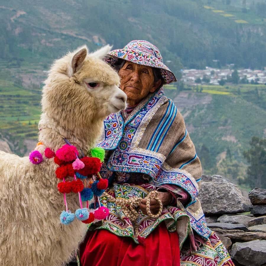 From Puno to Arequipa: 2 Days/1 Night Colca Canyon Tour - Laguna Lagunillas: birds are the first big win