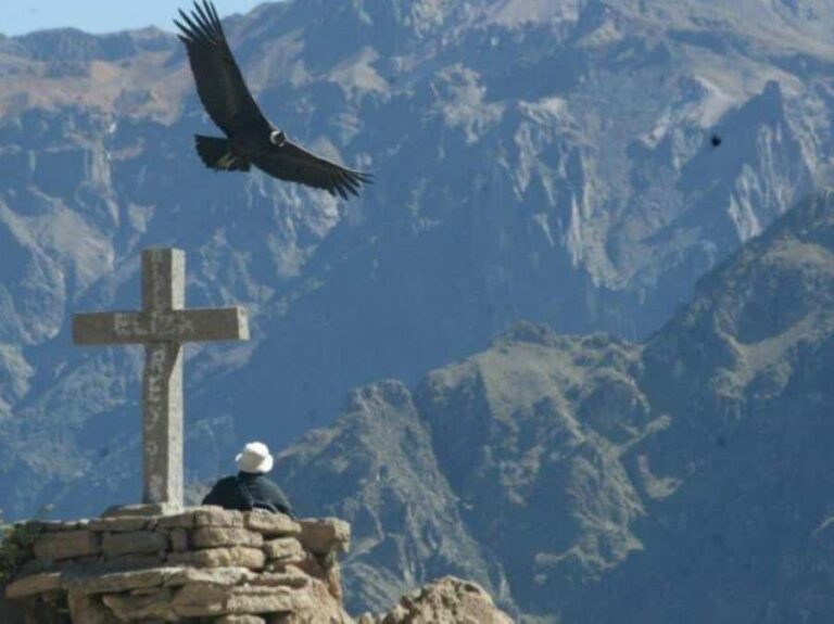 Full-Day Colca Canyon Tour from Arequipa - Chivay breakfast, then straight to Cruz del Cóndor