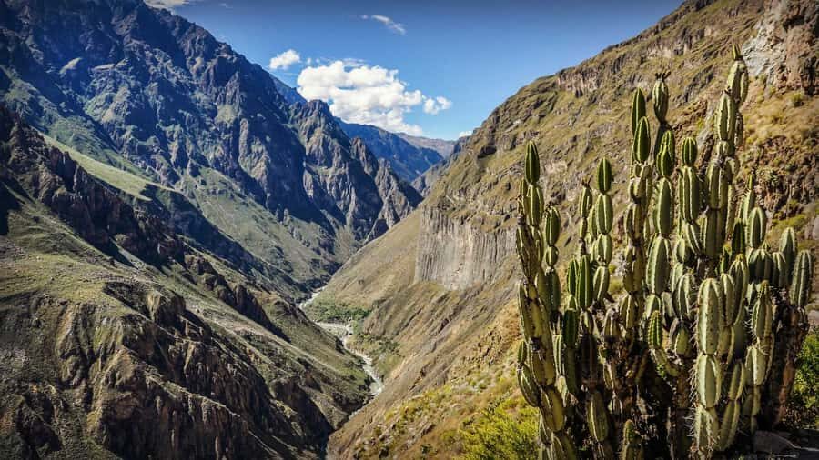 Full-Day Colca Canyon Tour from Arequipa - La Calera hot springs (optional): warm water after a cold start