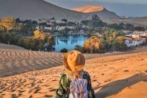 Full Day Paracas Ica and Huacachina from Lima All Included - Islas Ballestas: your marine wildlife primer on a real boat tour