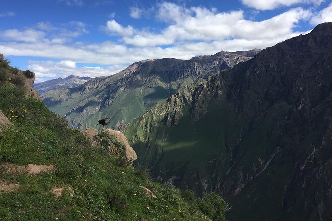 Full Day Tour / Colca Canyon - Arequipa Pickup, the Long Drive, and Why 14 Hours Feels Like Two Trips