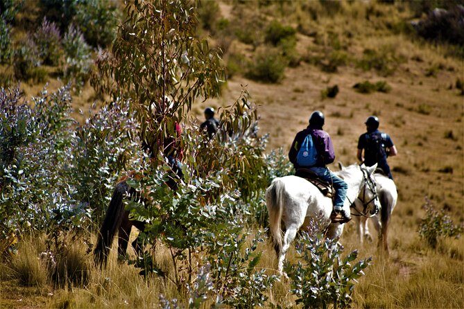 Horse Riding Chacan Mountain And Temple Of The Moon - Meeting the horses at Gabriel’s ranch (and why it matters)
