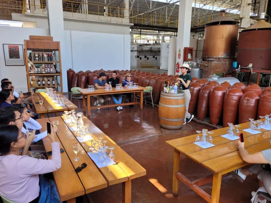 ICA: Pisco and Wine Route with tasting in 03 Wineries - Key things that make this tour worth your time