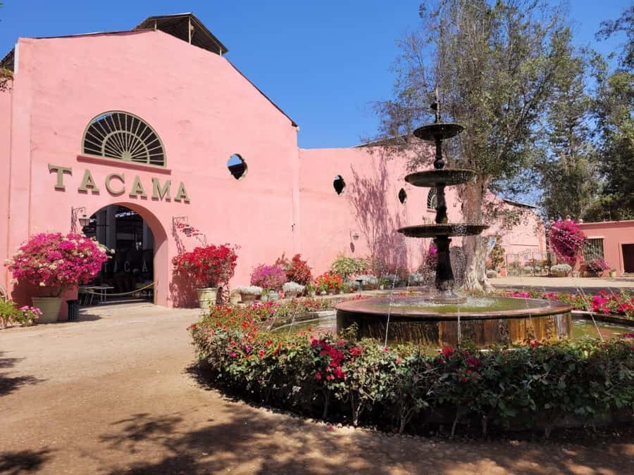 ICA: Pisco and Wine Route with tasting in 03 Wineries - Ica’s Pisco and Wine Route: a smart way to learn and taste
