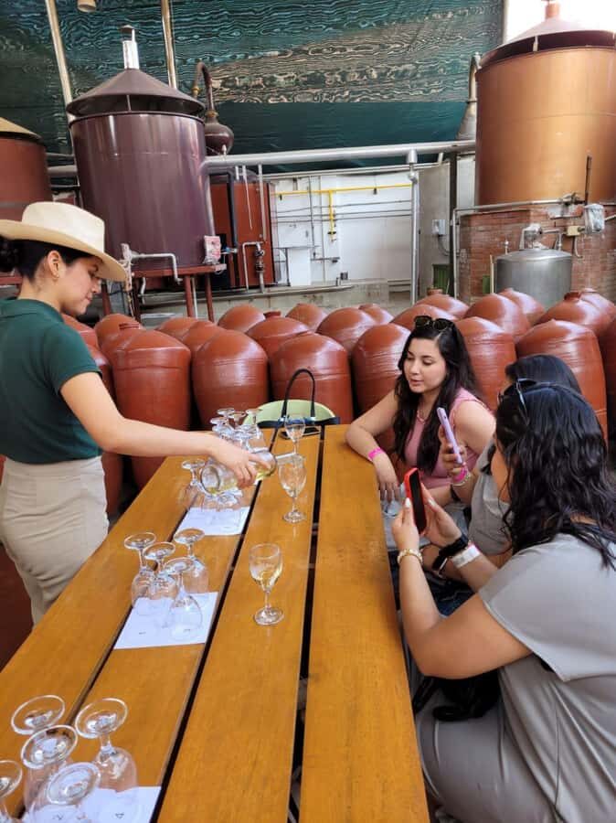 ICA: Pisco and Wine Route with tasting in 03 Wineries - Hacienda TACAMA: where the story and technique begin