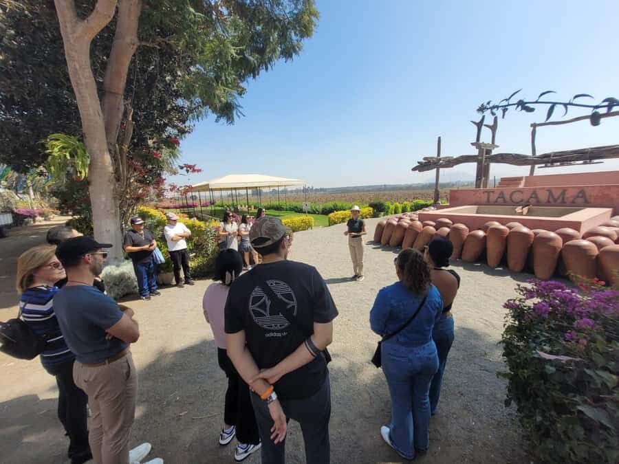ICA: Pisco and Wine Route with tasting in 03 Wineries - The guided tastings with a sommelier: how to get more out of every sip
