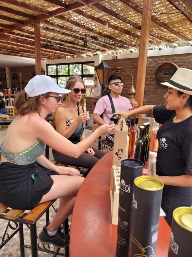 ICA: Pisco and Wine Route with tasting in 03 Wineries - Lunch stop: a regional break (and check what’s included)