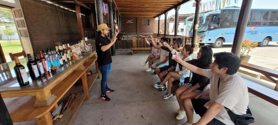 ICA: Pisco and Wine Route with tasting in 03 Wineries - Group size, guide quality, and pacing
