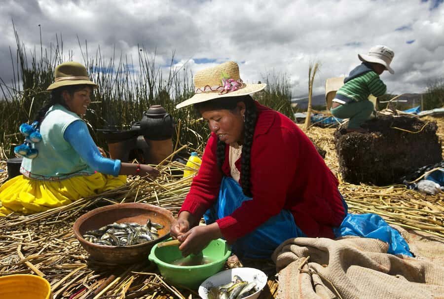 Lake Titicaca, Uros and Taquile Full-Day Tour - Key highlights you’ll actually feel