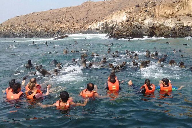 Lima: Palomino Islands Excursion & Swimming with Sea Lions with Hotel Transfers - What the Crew Actually Does to Keep You Safe