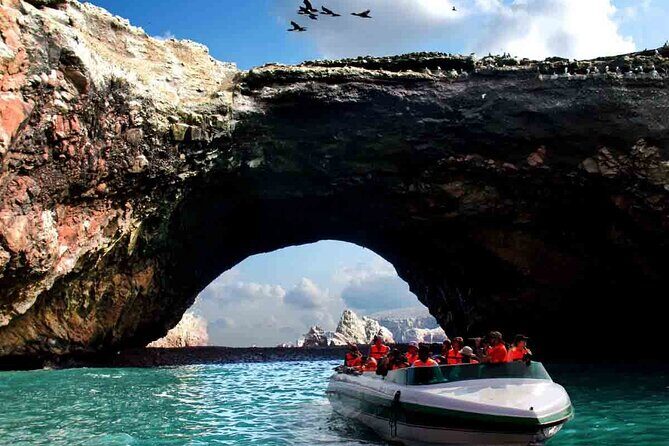 Lima : Paracas & Huacachina- Day to Islas Ballestas & Sandboard - Pisco Nietto in Ica: a tasting stop with fun toasts