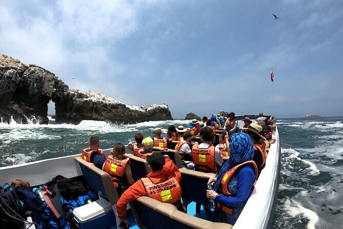 Lima Peru Sea Lions, History and Palomino Callao Islands - What’s included vs. what you’ll pay for later